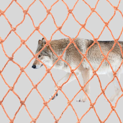 wolfsabwehr bubblenavibanner